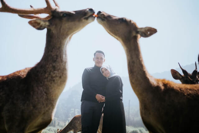 pexels willy wft 9915166.jpg